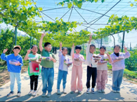 二年级：葚好时光，绝绝紫